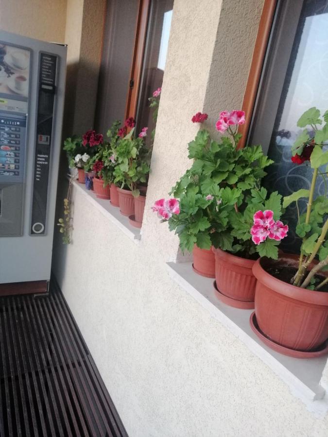 Villa Vega Sozopol Zewnętrze zdjęcie